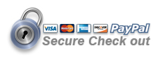 secure check out